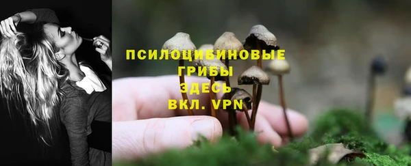 дурь Аркадак