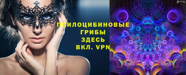 mdpv Арсеньев