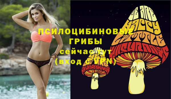 гашик Балахна