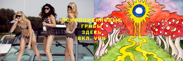 дурь Аркадак