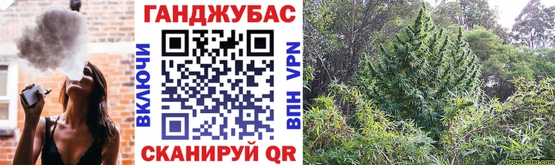 Бошки Шишки тримм Кировск